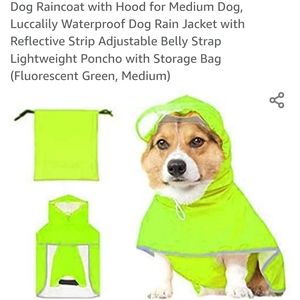 Rain Coat